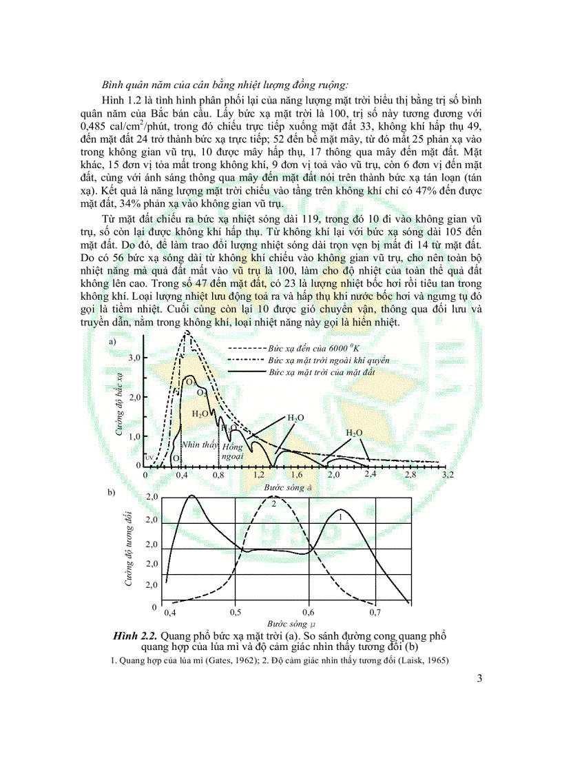image for page Giáo Trình Sinh Thái Học
