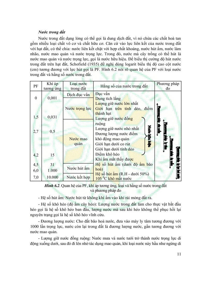 image for page Giáo Trình Sinh Thái Học
