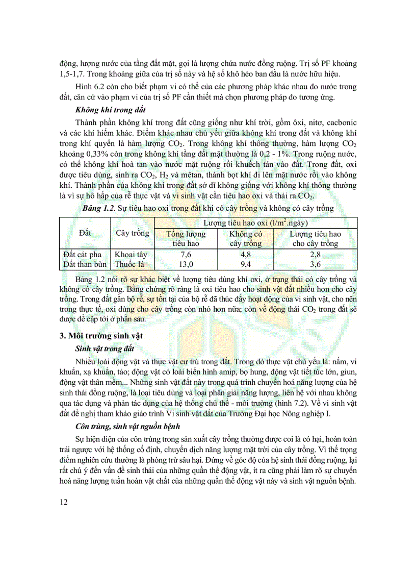 image for page Giáo Trình Sinh Thái Học