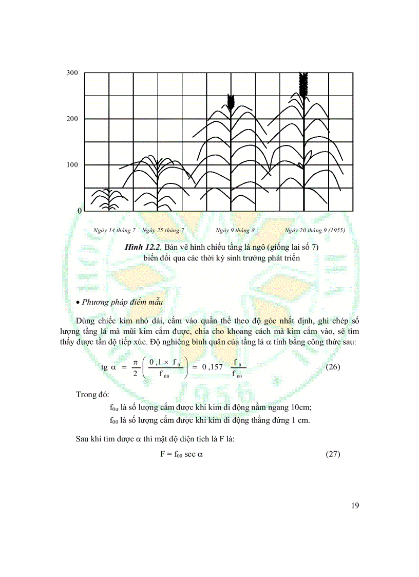 image for page Giáo Trình Sinh Thái Học