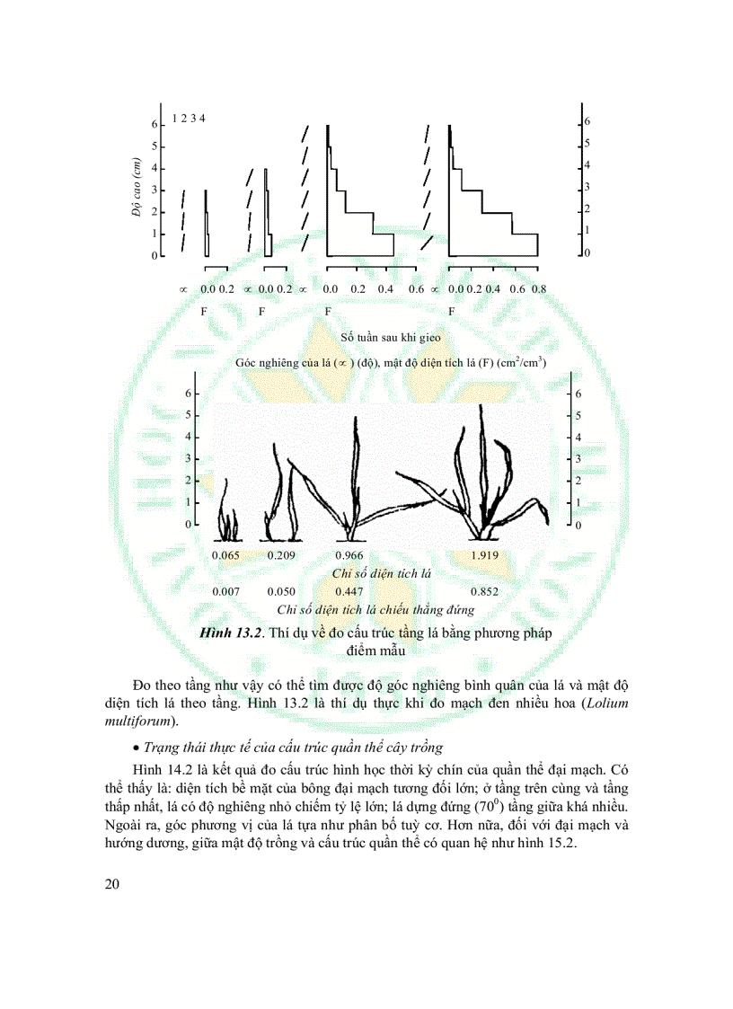 image for page Giáo Trình Sinh Thái Học