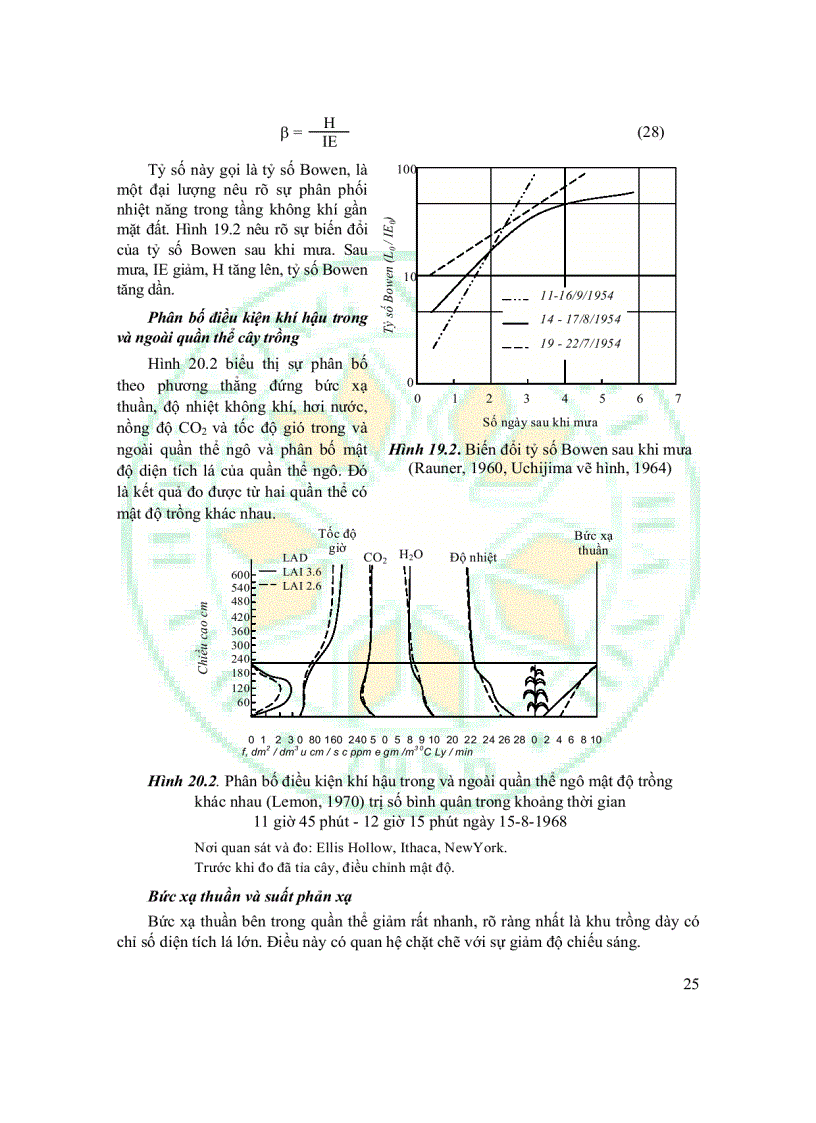 image for page Giáo Trình Sinh Thái Học