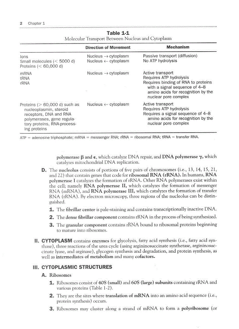 image for page High Yield Histology 2d ed