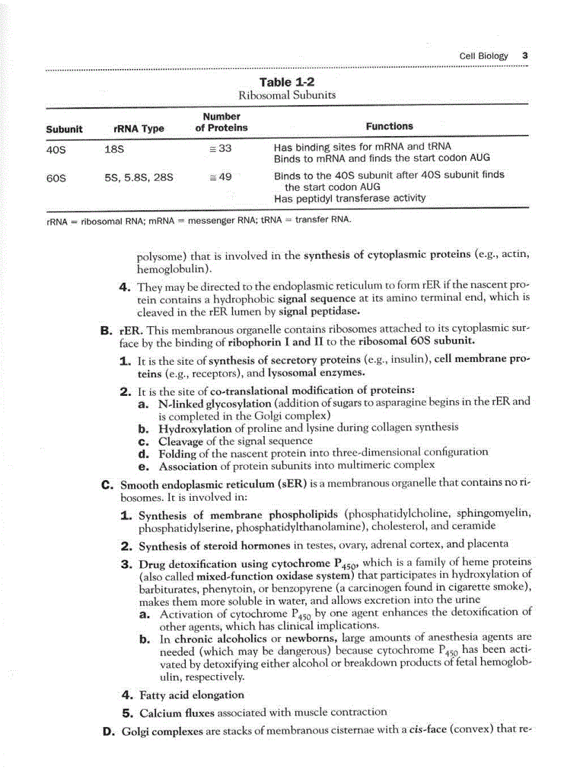 image for page High Yield Histology 2d ed