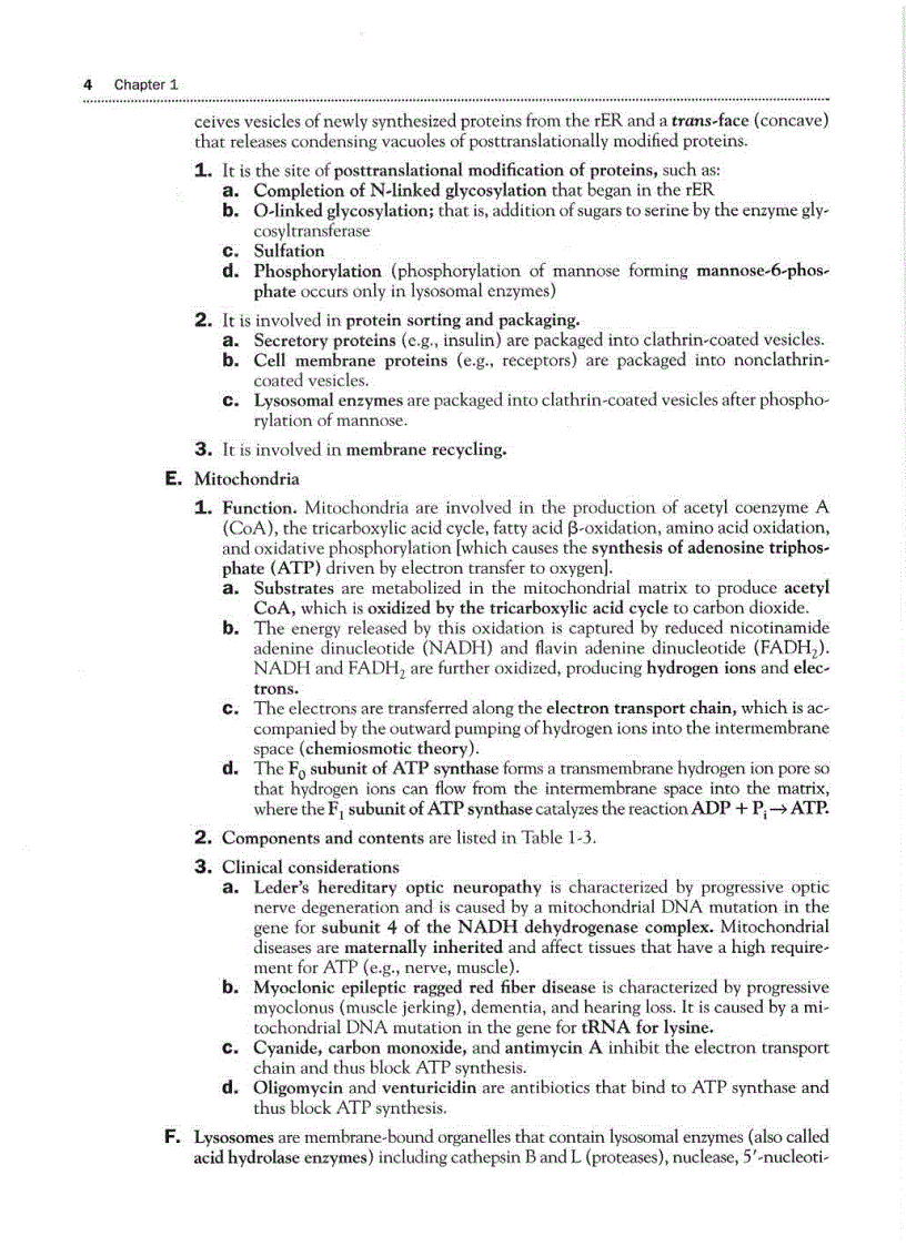image for page High Yield Histology 2d ed
