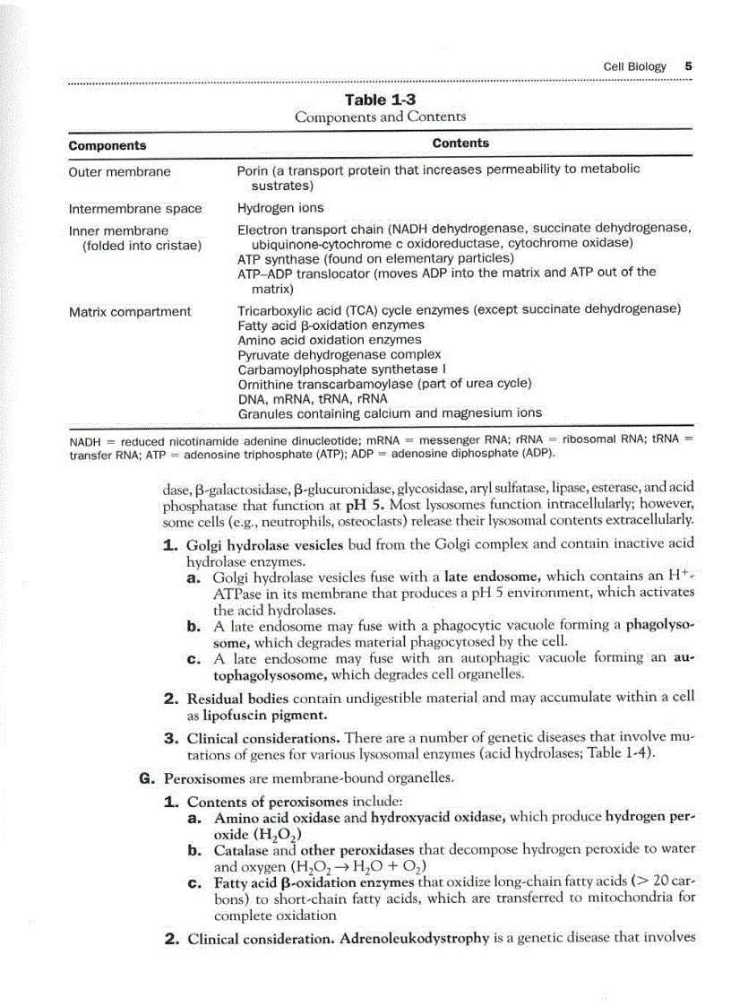 image for page High Yield Histology 2d ed