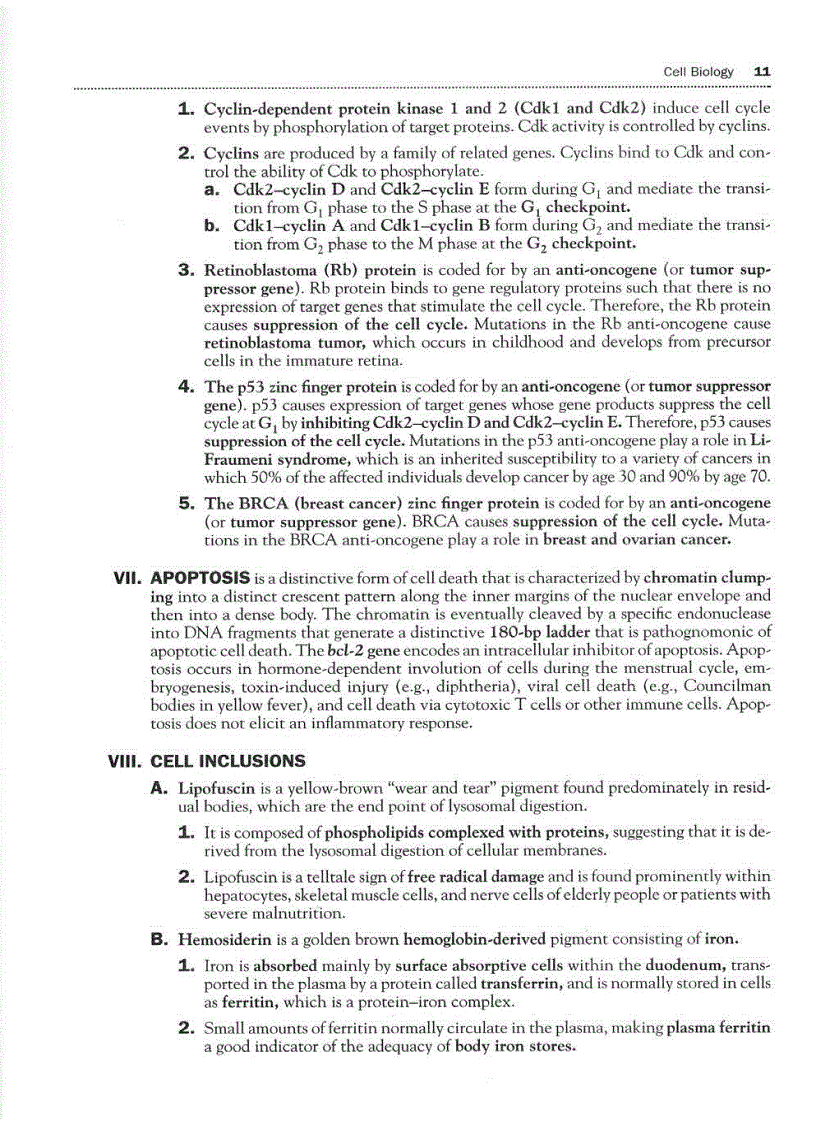 image for page High Yield Histology 2d ed