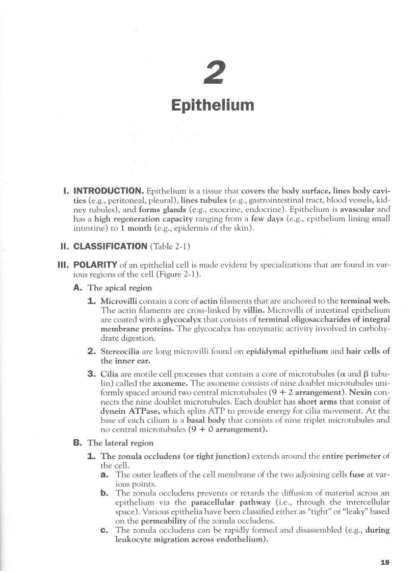 image for page High Yield Histology 2d ed