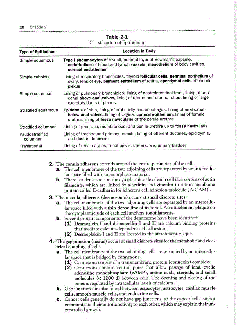 image for page High Yield Histology 2d ed