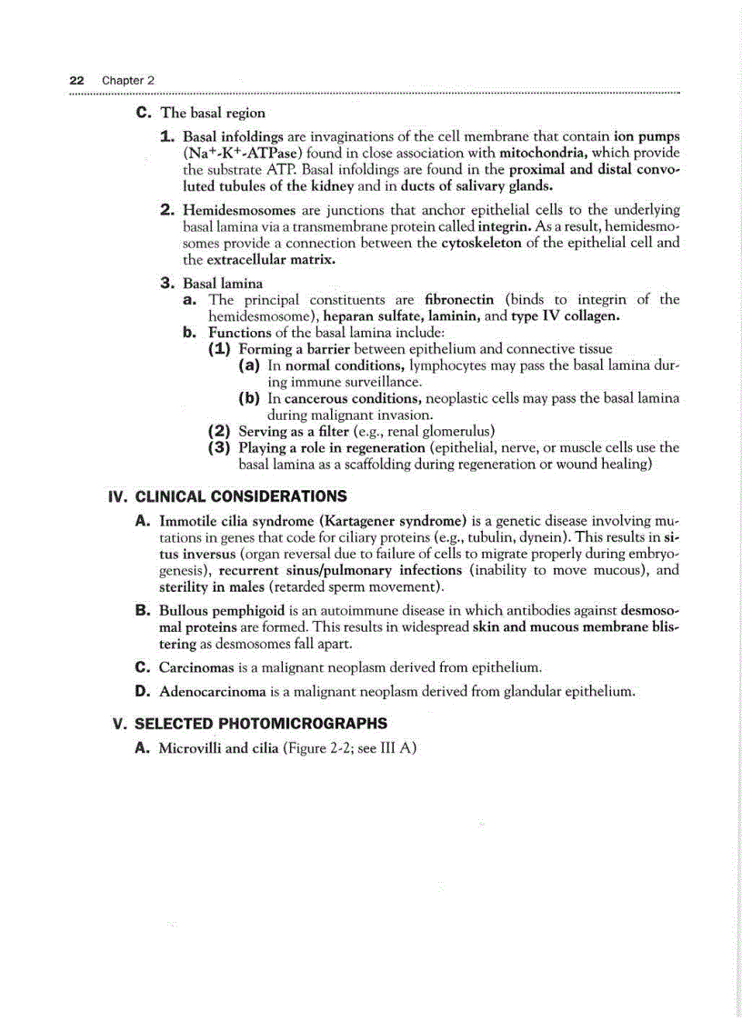 image for page High Yield Histology 2d ed