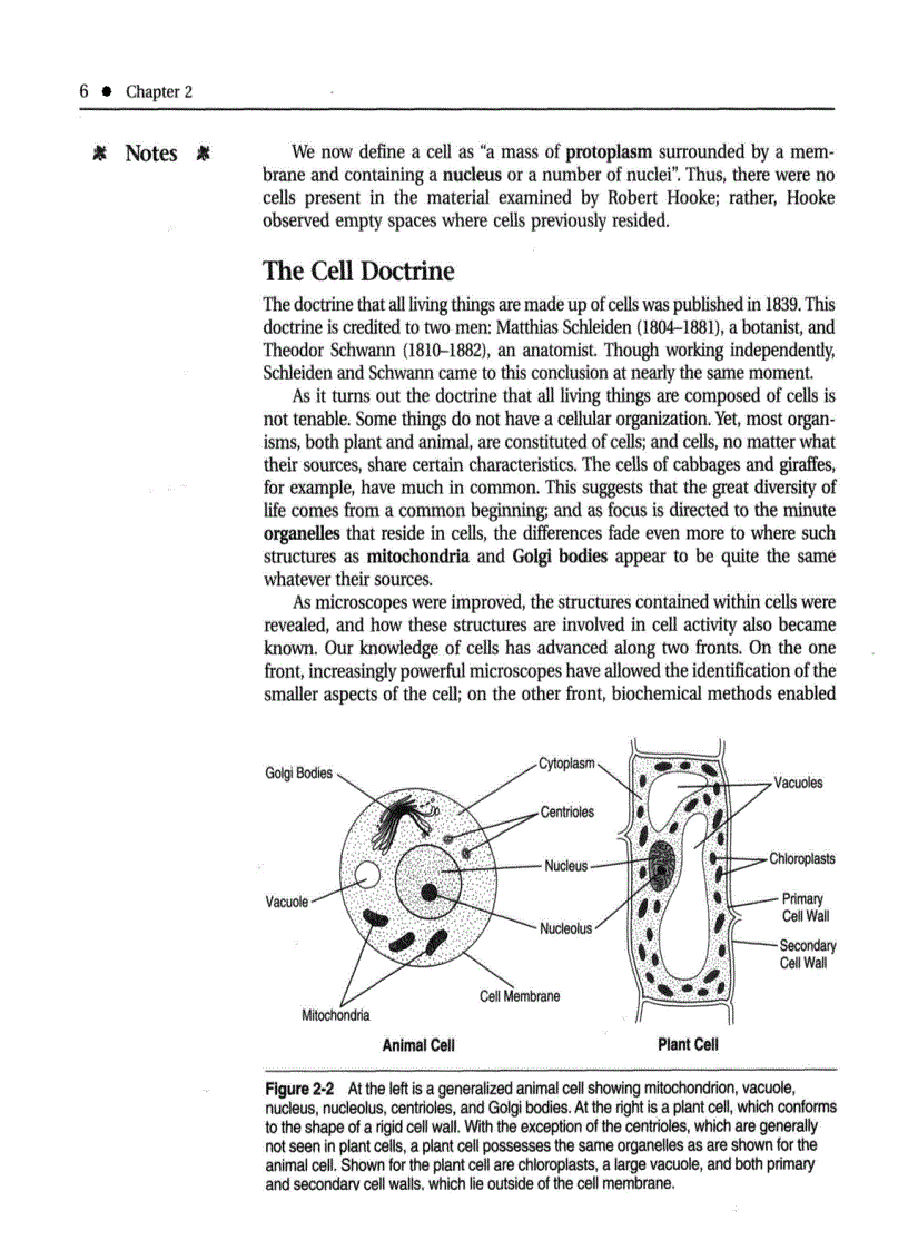 image for page Introduction to Botany
