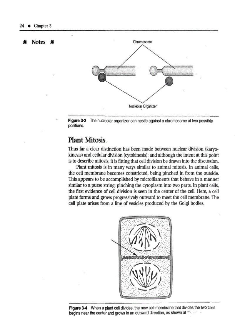 image for page Introduction to Botany