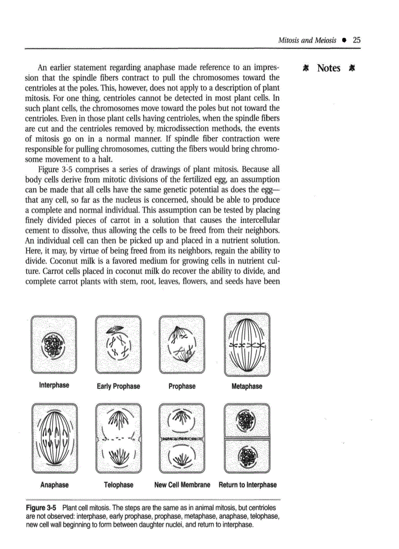 image for page Introduction to Botany