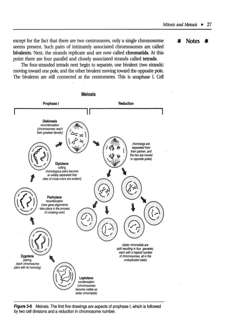 image for page Introduction to Botany