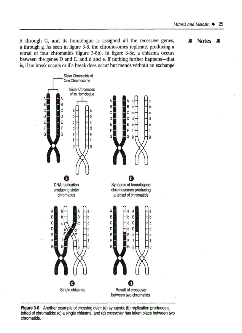 image for page Introduction to Botany