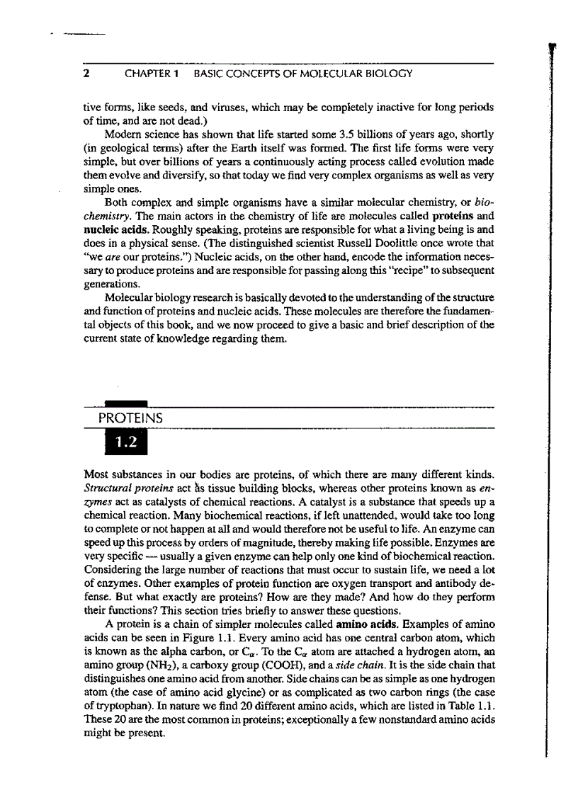 image for page Introduction to Computational molecular biology