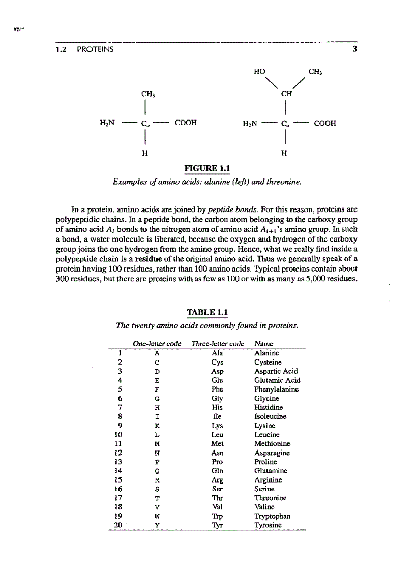 image for page Introduction to Computational molecular biology