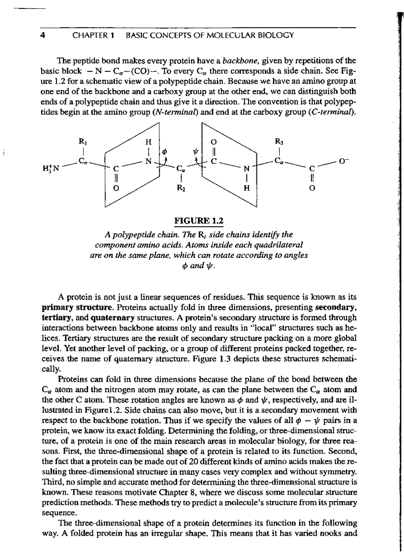image for page Introduction to Computational molecular biology