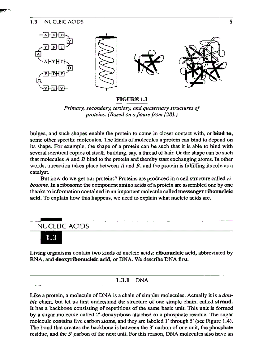 image for page Introduction to Computational molecular biology