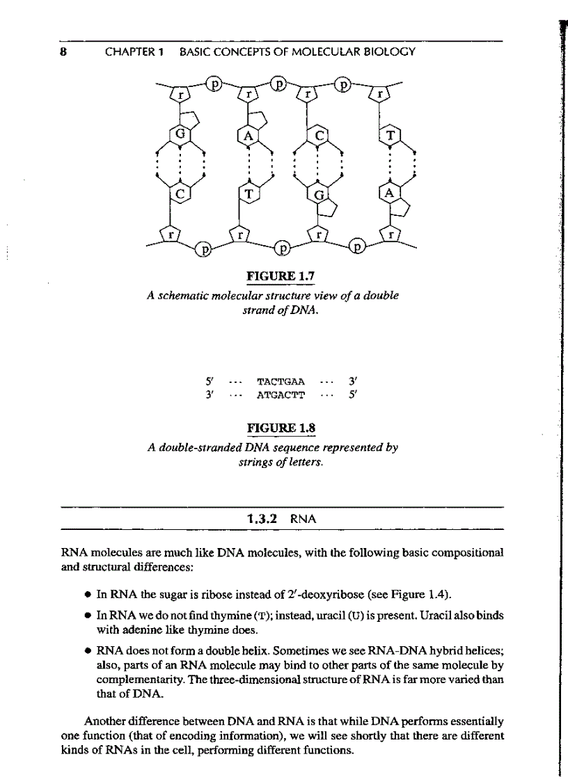 image for page Introduction to Computational molecular biology