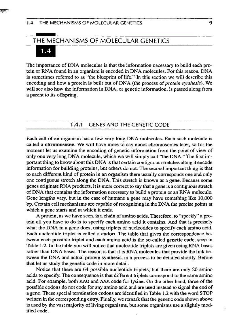 image for page Introduction to Computational molecular biology