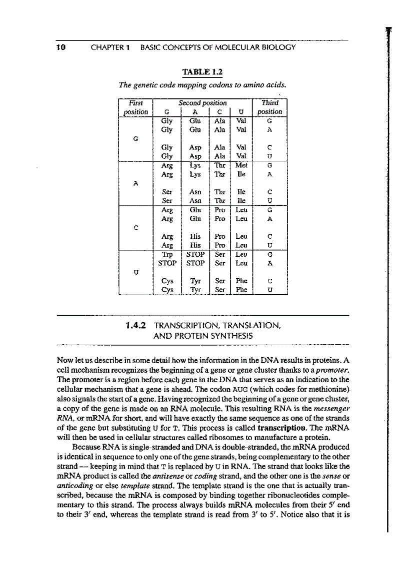 image for page Introduction to Computational molecular biology
