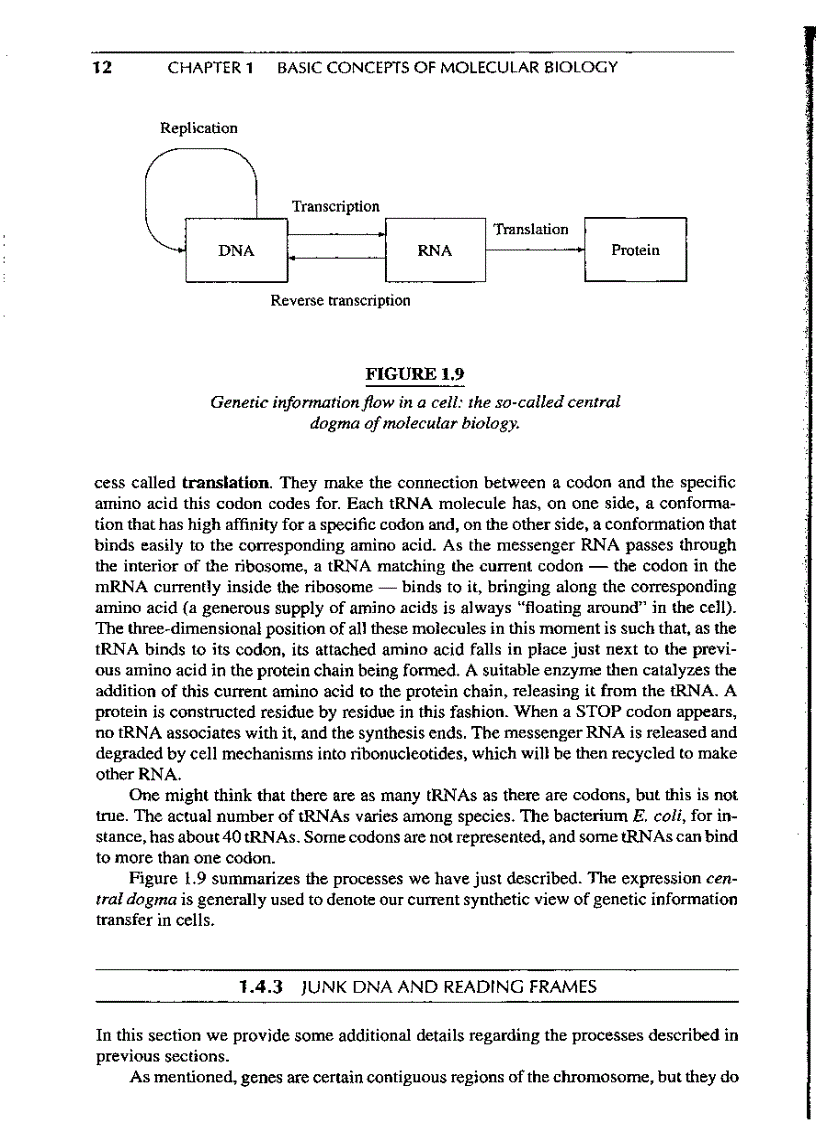 image for page Introduction to Computational molecular biology