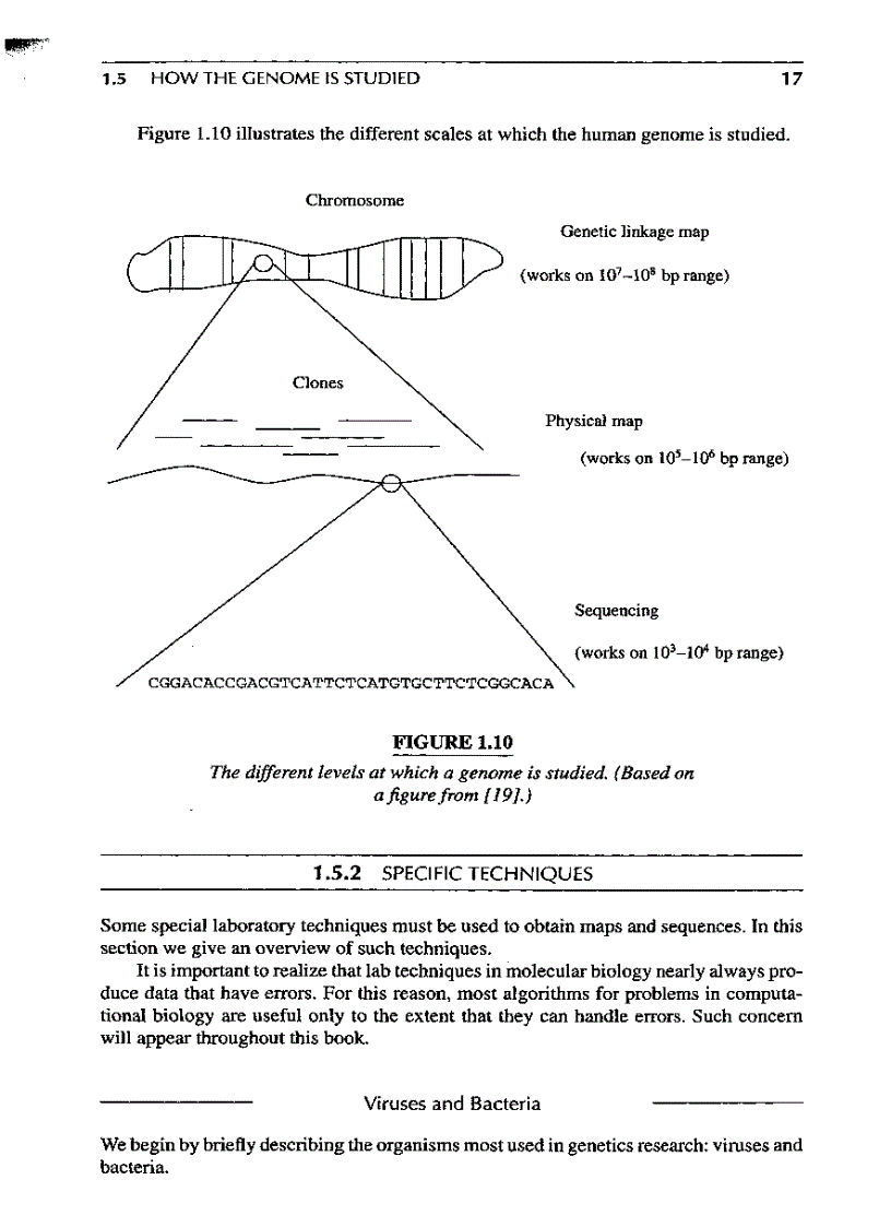 image for page Introduction to Computational molecular biology