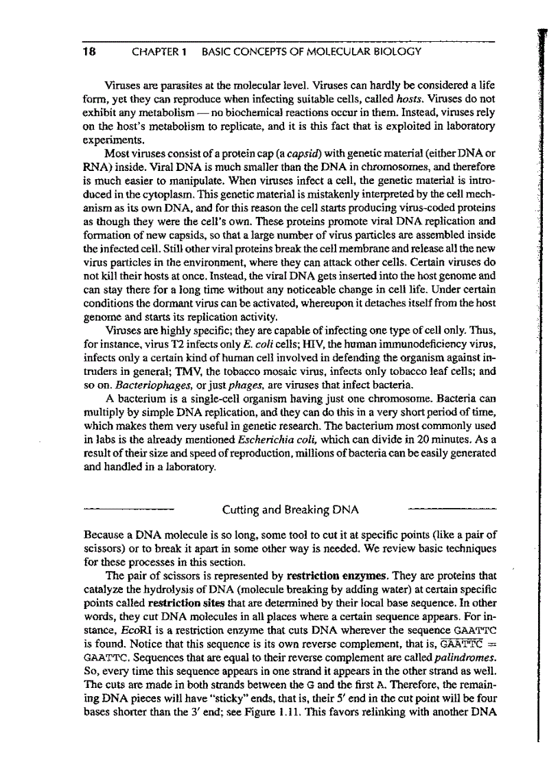 image for page Introduction to Computational molecular biology