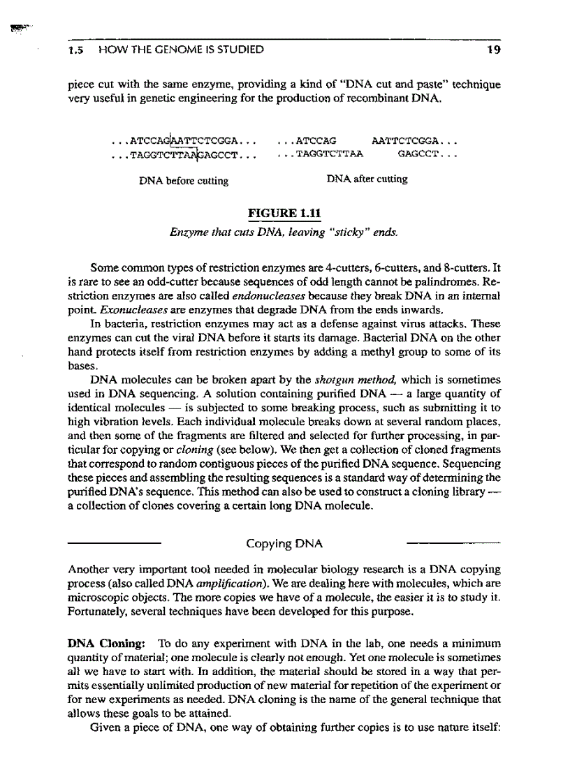 image for page Introduction to Computational molecular biology