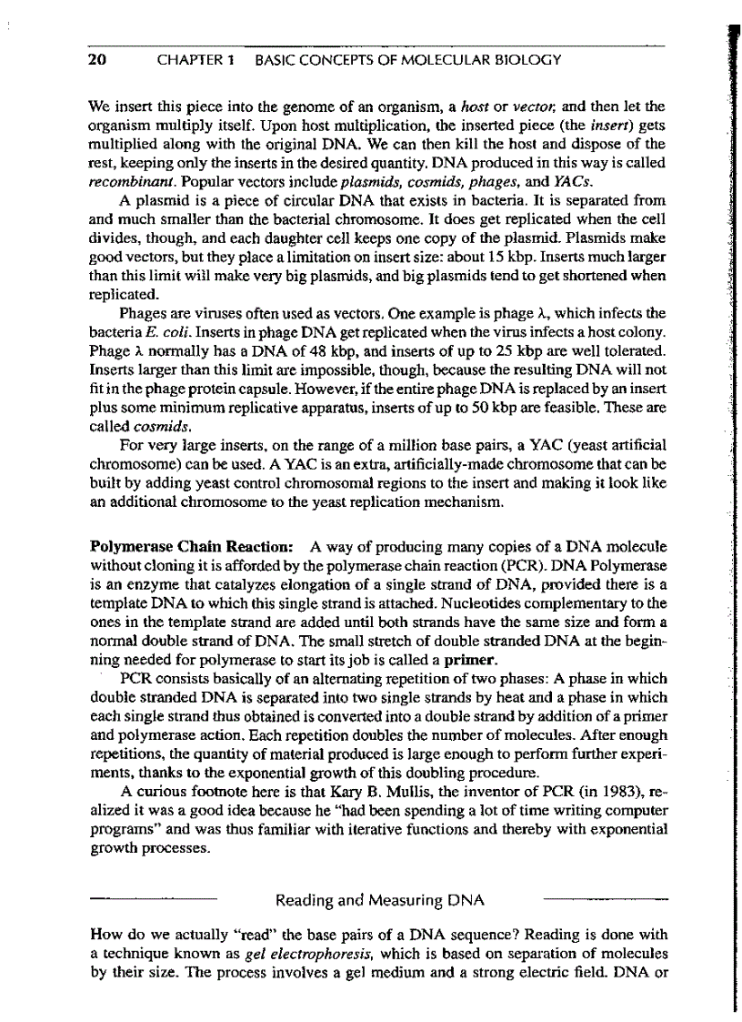 image for page Introduction to Computational molecular biology