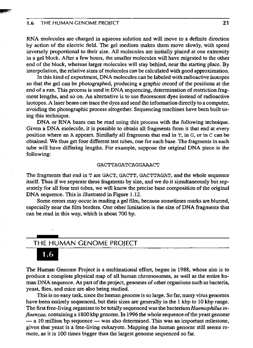 image for page Introduction to Computational molecular biology