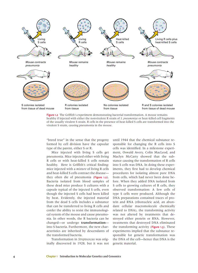 Introduction To Molecular Genetics And Geonomics