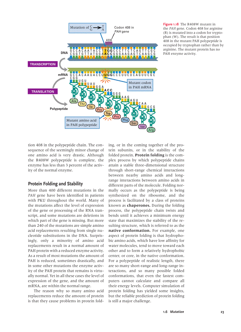 image for page Introduction To Molecular Genetics And Geonomics