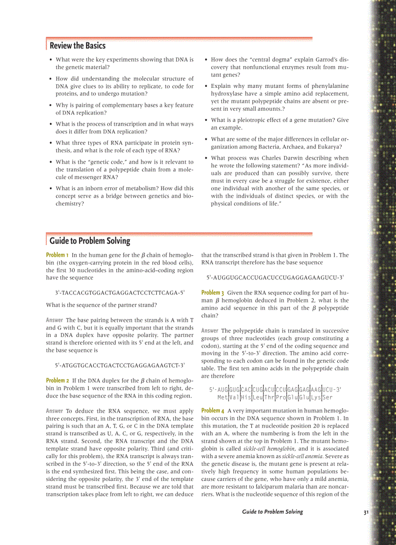 image for page Introduction To Molecular Genetics And Geonomics