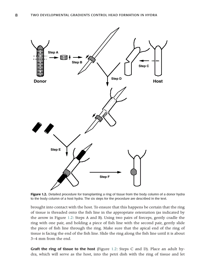 image for page Key Experiments in Practical Developmental Biology