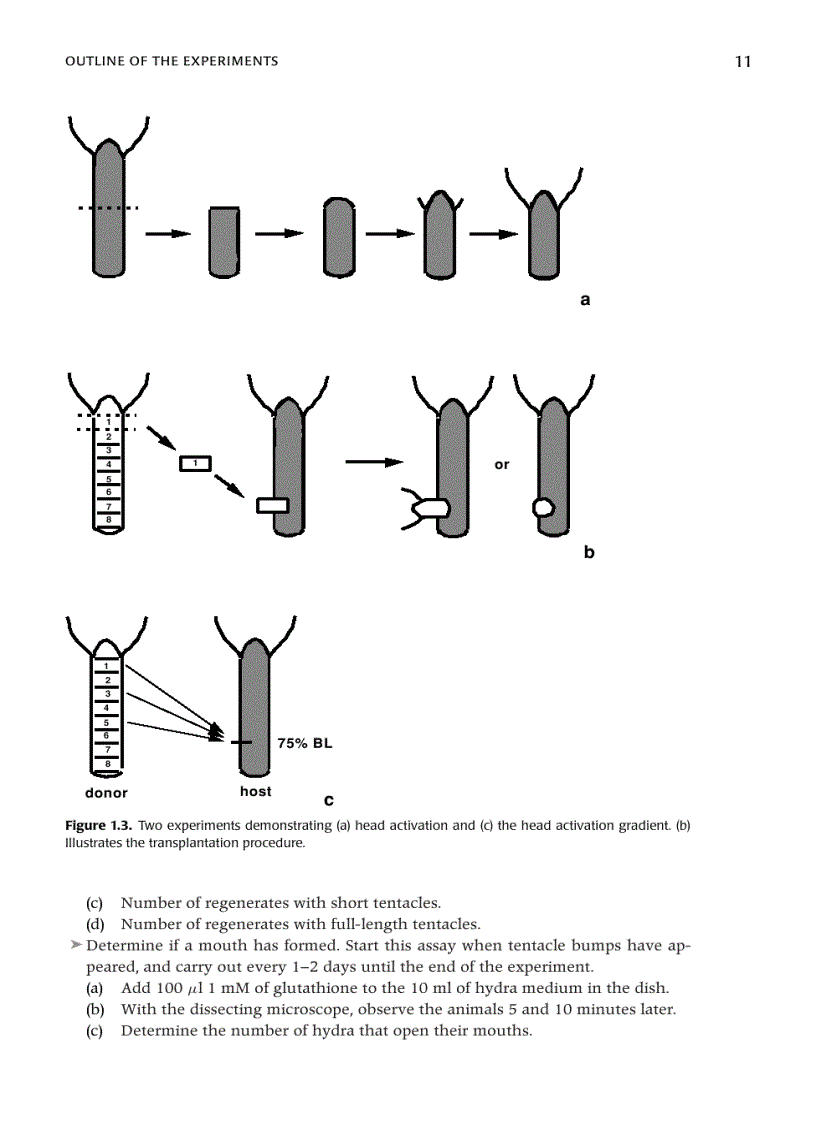 image for page Key Experiments in Practical Developmental Biology