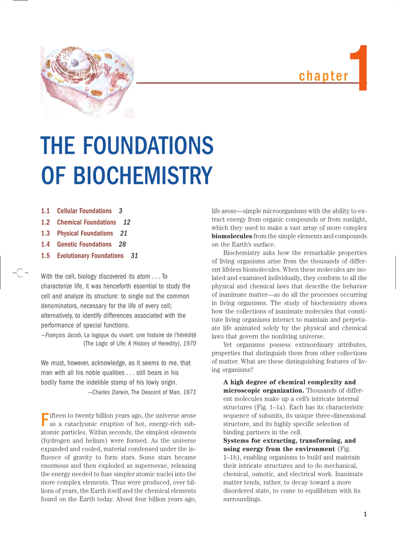 image for page Lehninger Principles of Biochemistry Fourth Edition