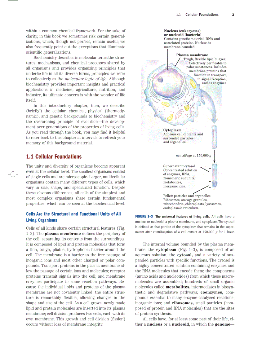 image for page Lehninger Principles of Biochemistry Fourth Edition