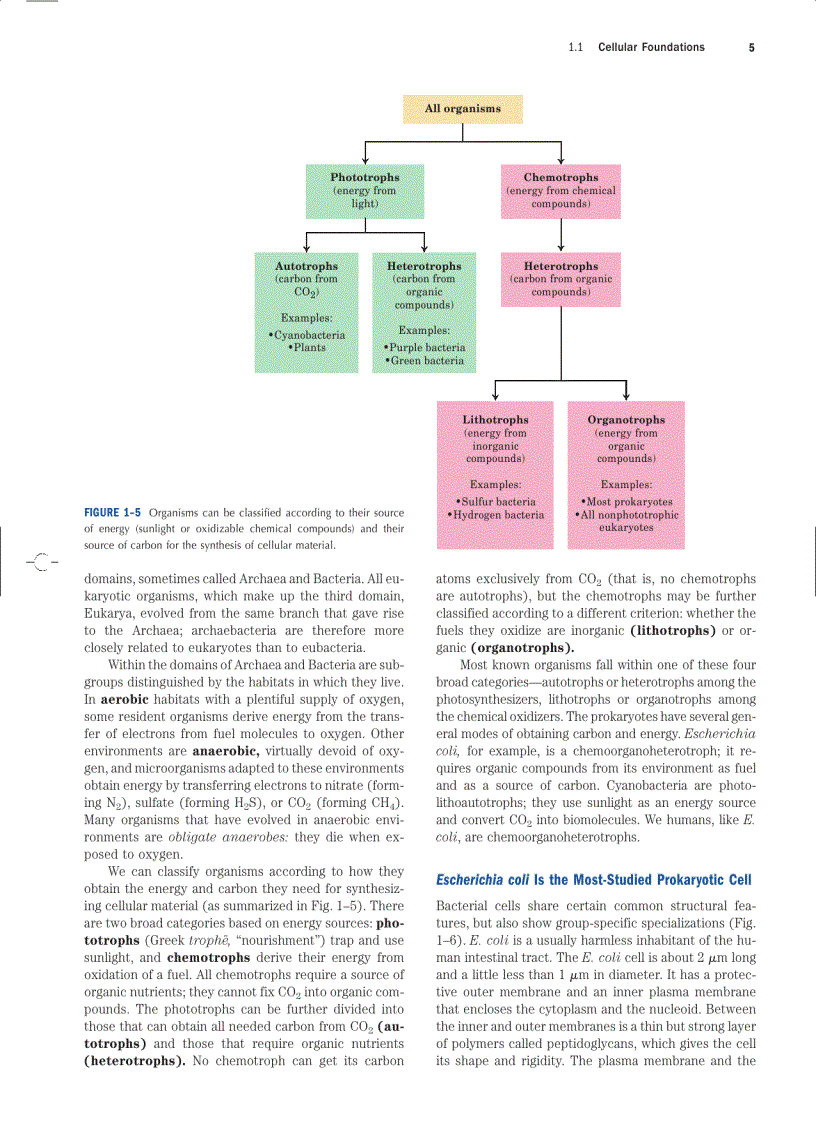 image for page Lehninger Principles of Biochemistry Fourth Edition