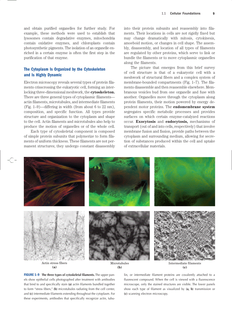 image for page Lehninger Principles of Biochemistry Fourth Edition