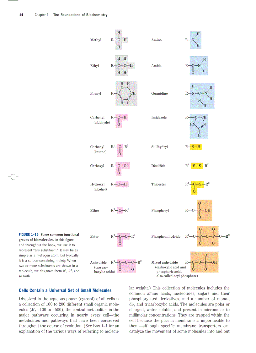 image for page Lehninger Principles of Biochemistry Fourth Edition