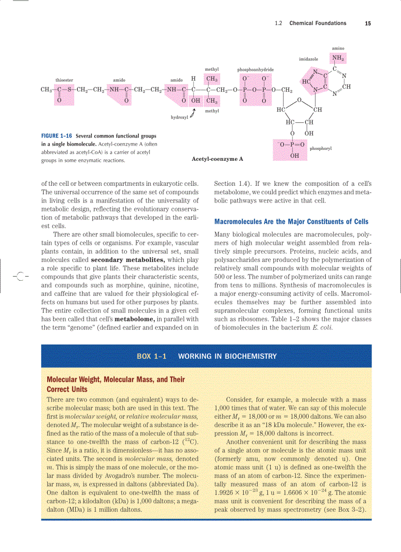 image for page Lehninger Principles of Biochemistry Fourth Edition