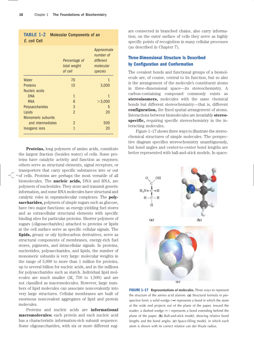image for page Lehninger Principles of Biochemistry Fourth Edition