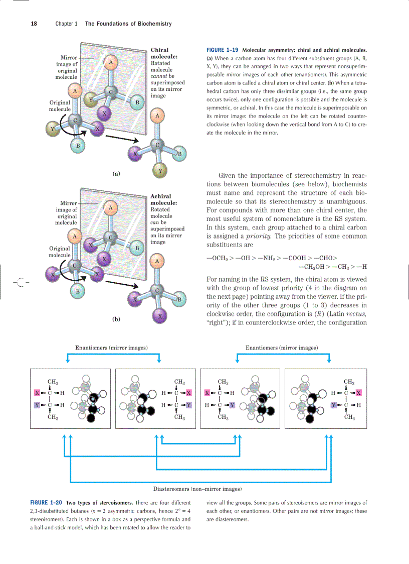 image for page Lehninger Principles of Biochemistry Fourth Edition