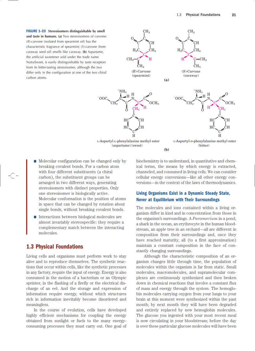 image for page Lehninger Principles of Biochemistry Fourth Edition