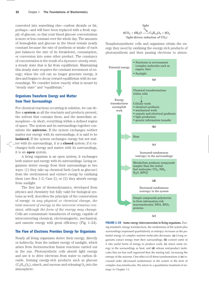 image for page Lehninger Principles of Biochemistry Fourth Edition