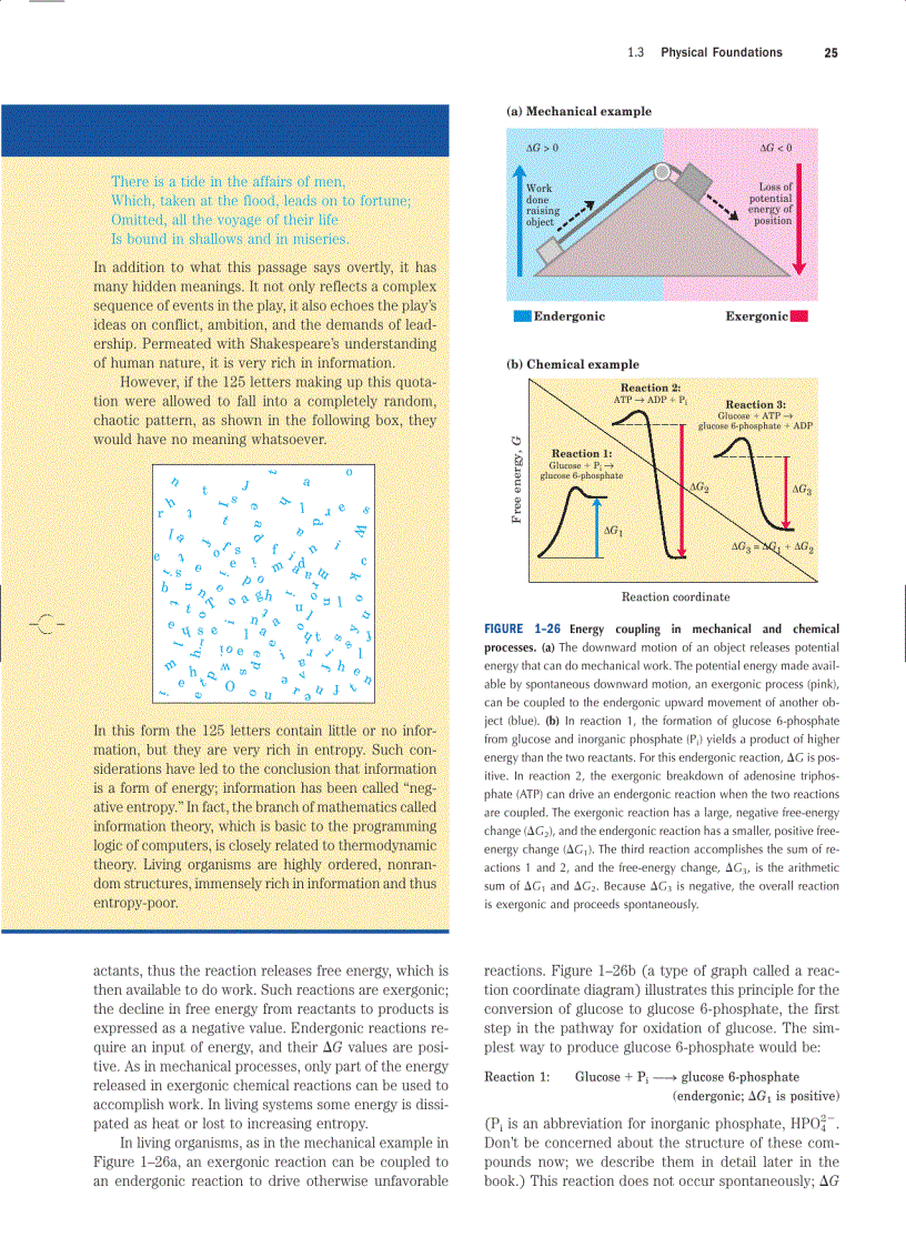 image for page Lehninger Principles of Biochemistry Fourth Edition
