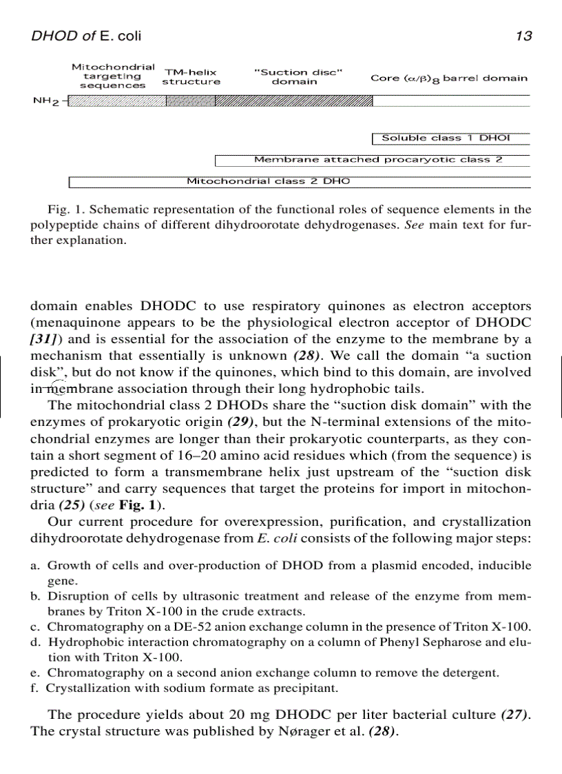 image for page Membrane Protein Protocols