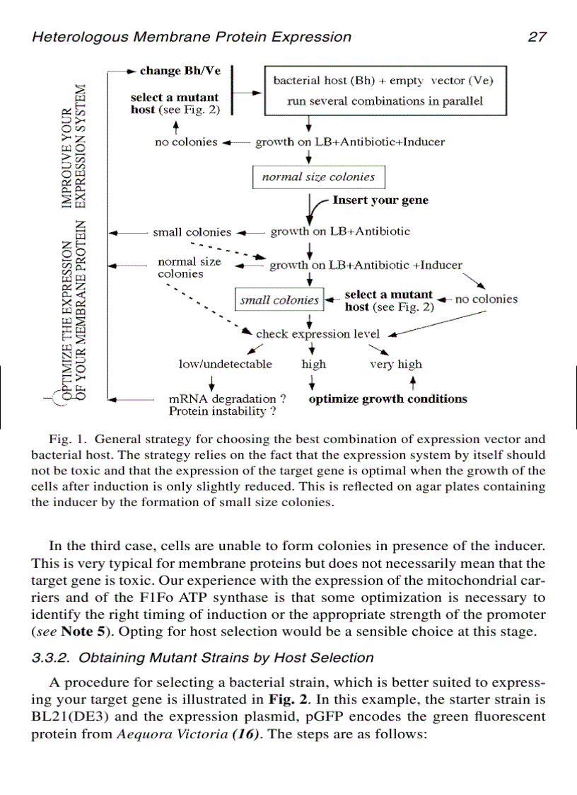 image for page Membrane Protein Protocols